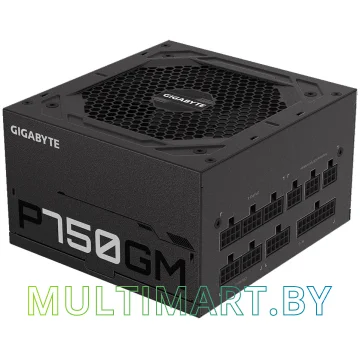Блок питания Gigabyte P750GM 750W (GP-P750GM) картинка 5